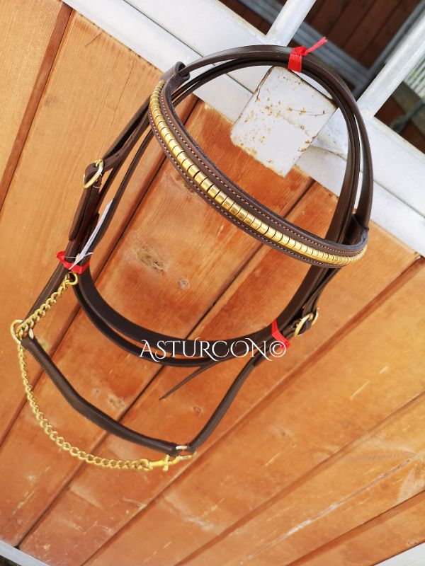 Decorated Presentation Halter & Lead